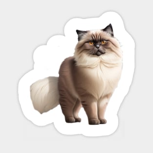 Himalayan cat Sticker